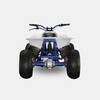 100/velocifero-e-atv.jpg